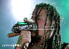 wpdb8703ae_0f.jpg