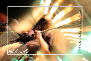 wpecc83d27_0f.jpg